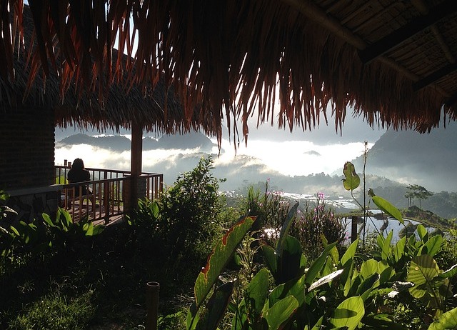 nature view
