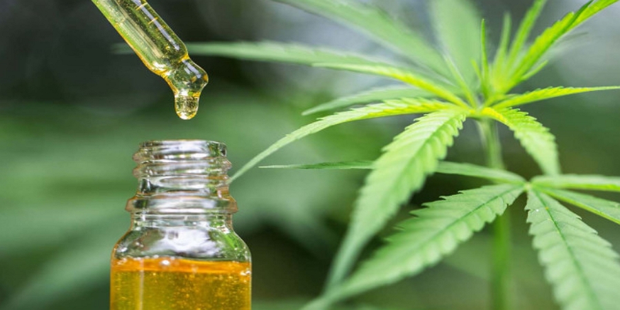 using cbd oil