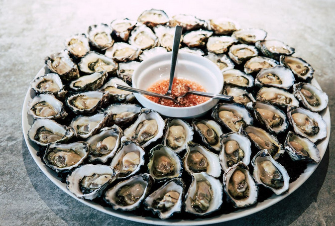oysters